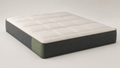 Foam Mattress 003